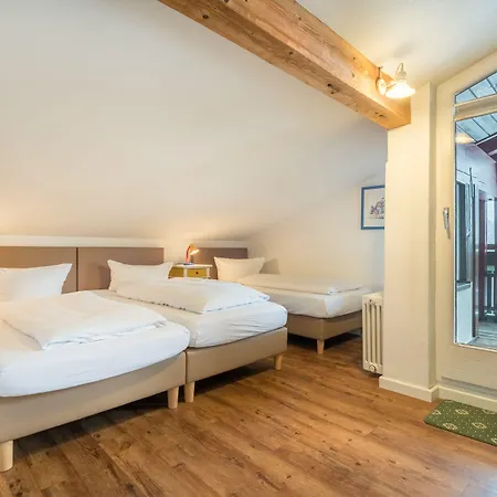 Hotel Starennest 3*
